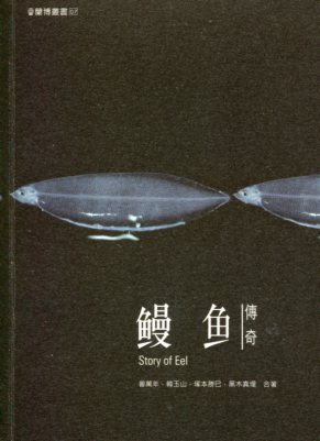 鰻魚傳奇