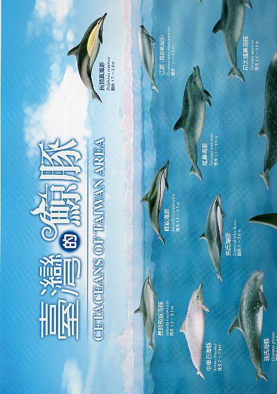 臺灣的鯨豚 (海報)